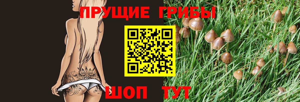 Галлюциногенные грибы MAGIC MUSHROOMS Ялта