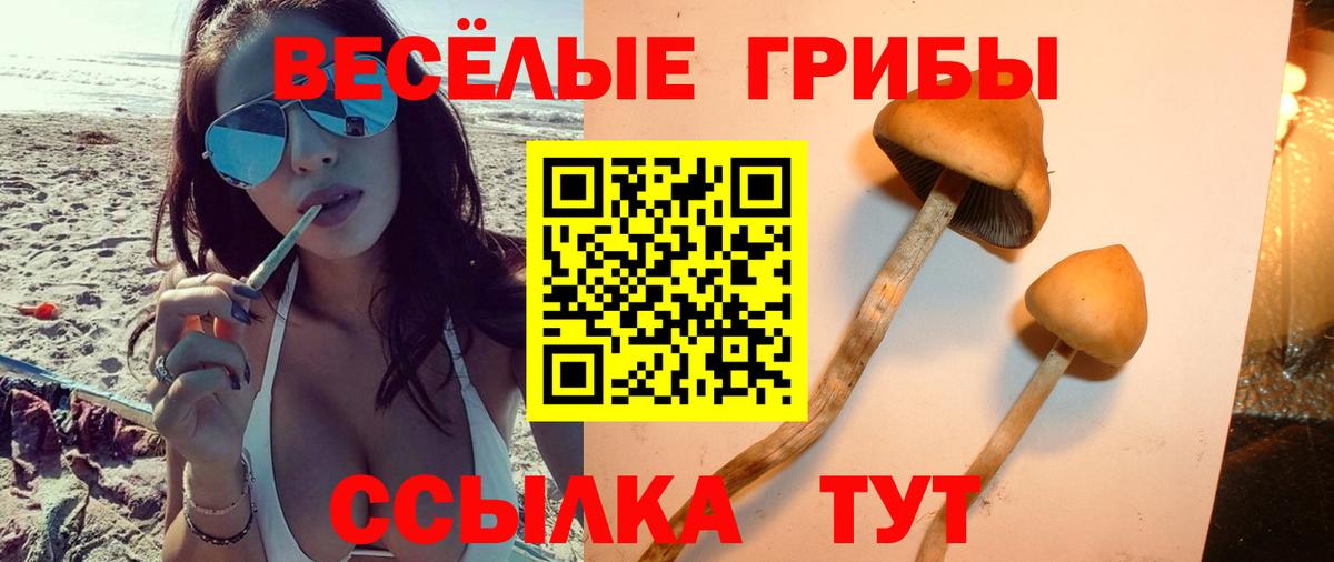 Ялта  Галлюциногенные грибы мухоморы  Вход с VPN 